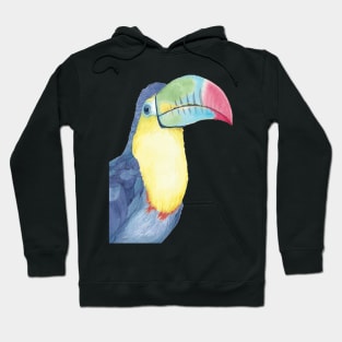 Watercolor keel-billed toucan painting bird Hoodie